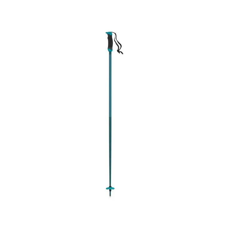 Bâton de ski Atomic Redster X SQS