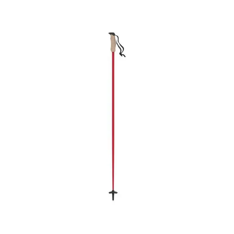 Bâton de ski carbone Atomic AMT