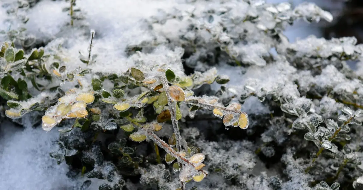 Pourquoi les soldes d'hiver 2026 seront uniques