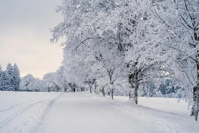 Les meilleures astuces pour acheter malin pendant les soldes hiver