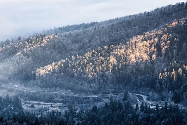 Les erreurs courantes à éviter lors des soldes hiver